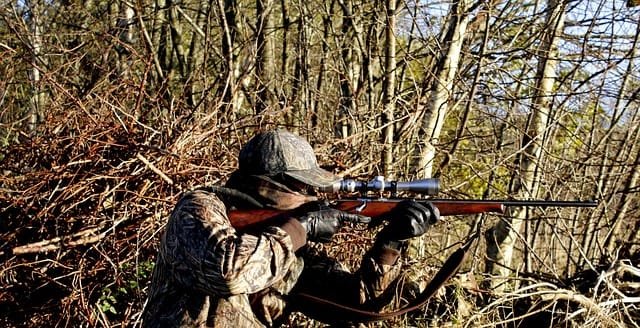 The Ultimate Guide to Hunting
